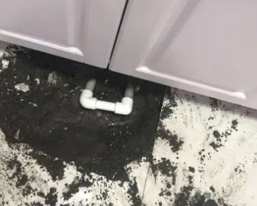 陕州查漏水哪家好